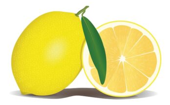 limone 1556224397 348x215 - La cura del limone