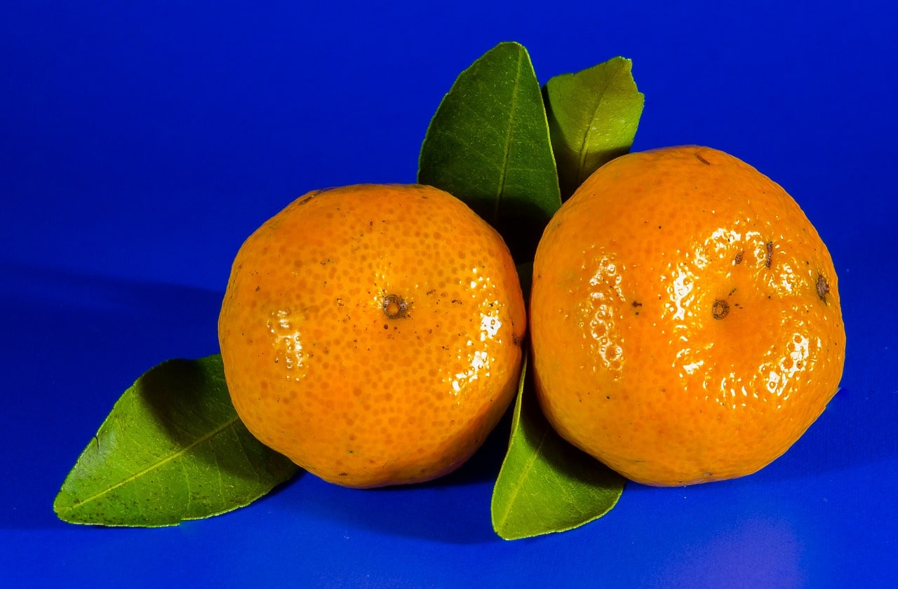 mandarino 1639131782 - Quante calorie ha un mandarino