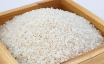 riso bianco 1651067153 348x215 - Riso in bianco: suggerimenti per condirlo
