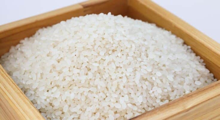 riso bianco 1651067153 735x400 - Riso in bianco: suggerimenti per condirlo