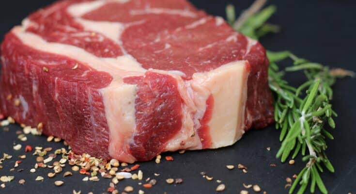 carne sashi 735x400 - La Carne Sashi: una prelibatezza di alta qualità